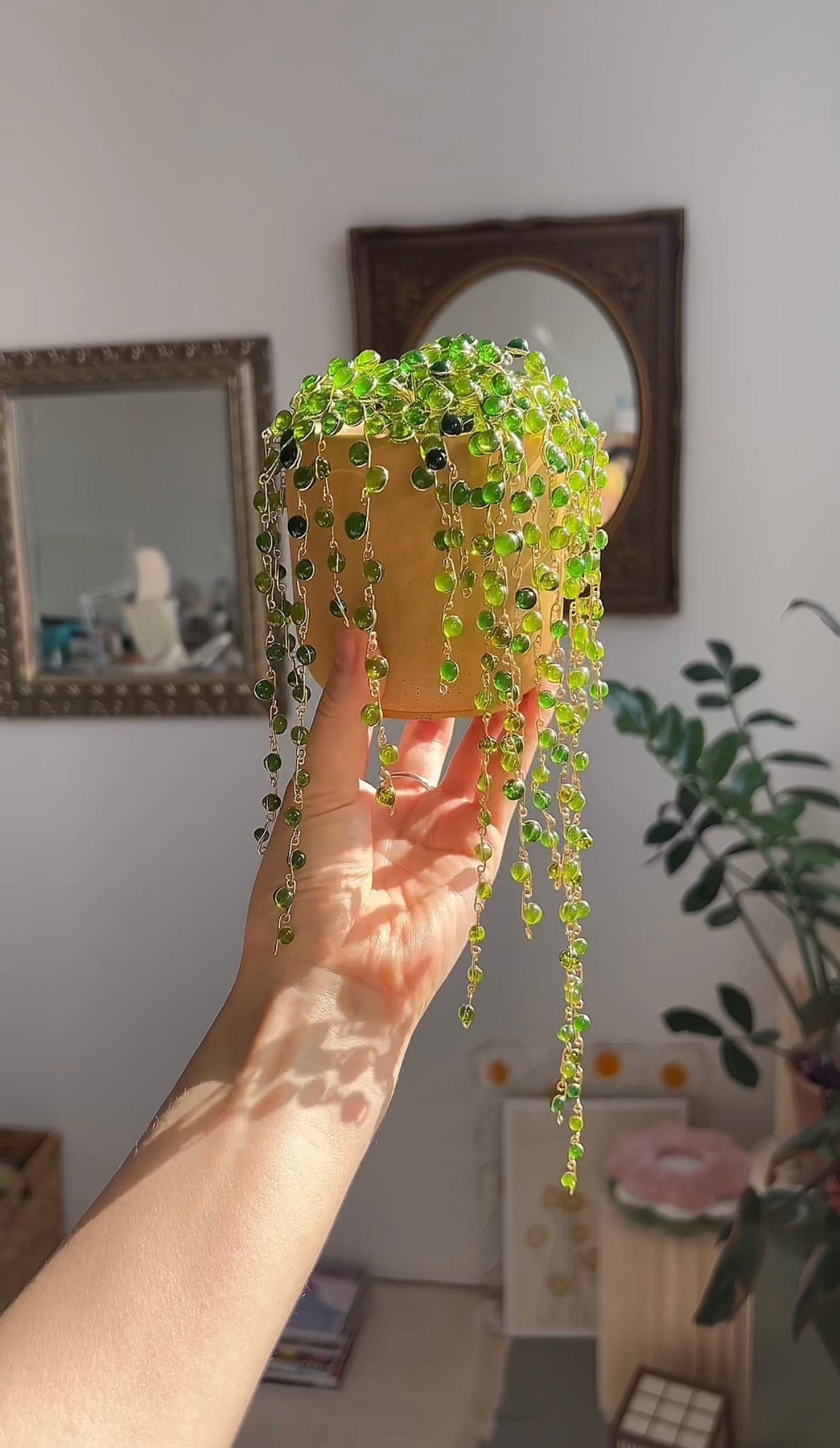 fully rooted string of pearls plant in terracotta pot String of Pearls Houseplant Set
