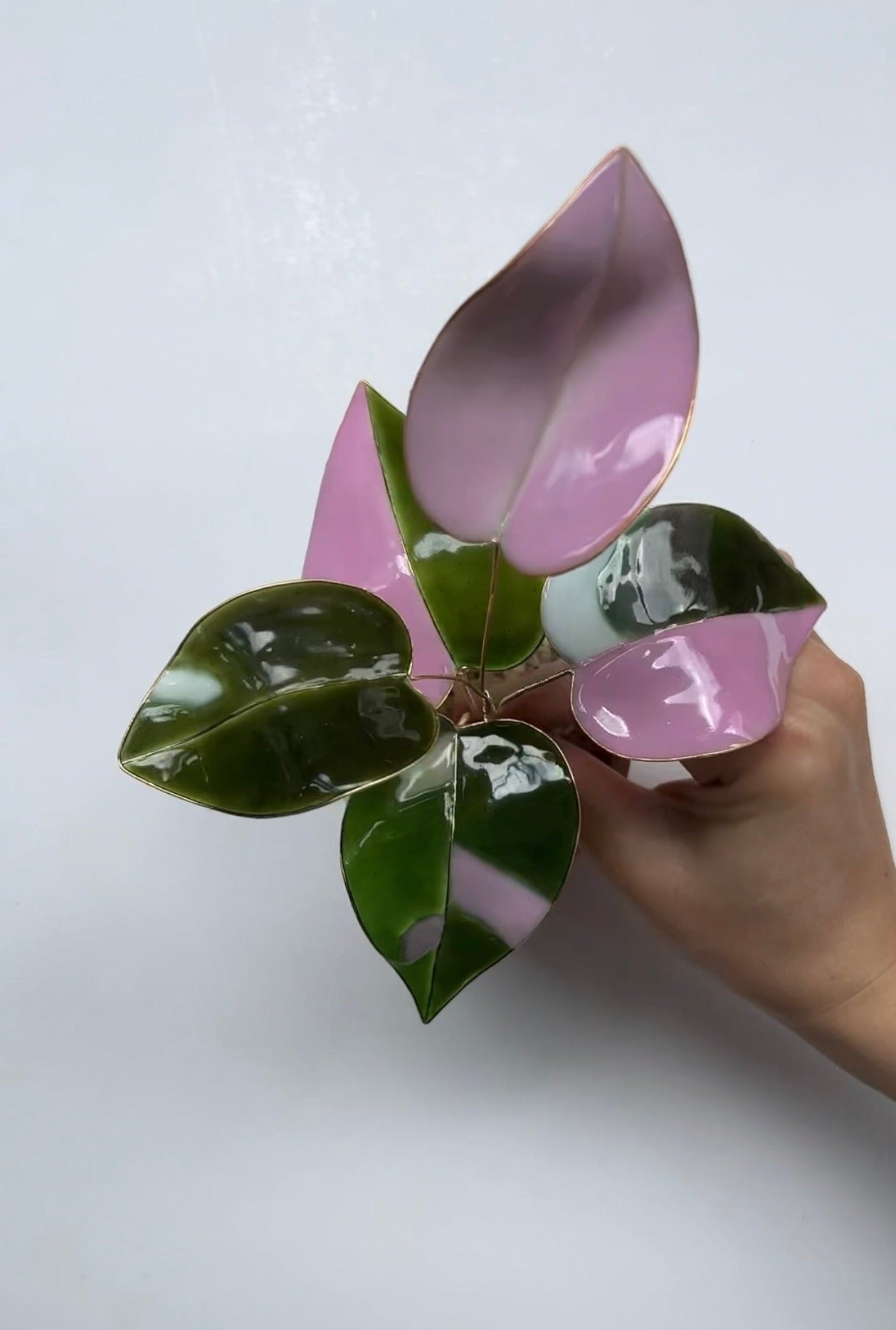 Preorder| Pink Princess Philodendron Houseplant Set (uv reactive)