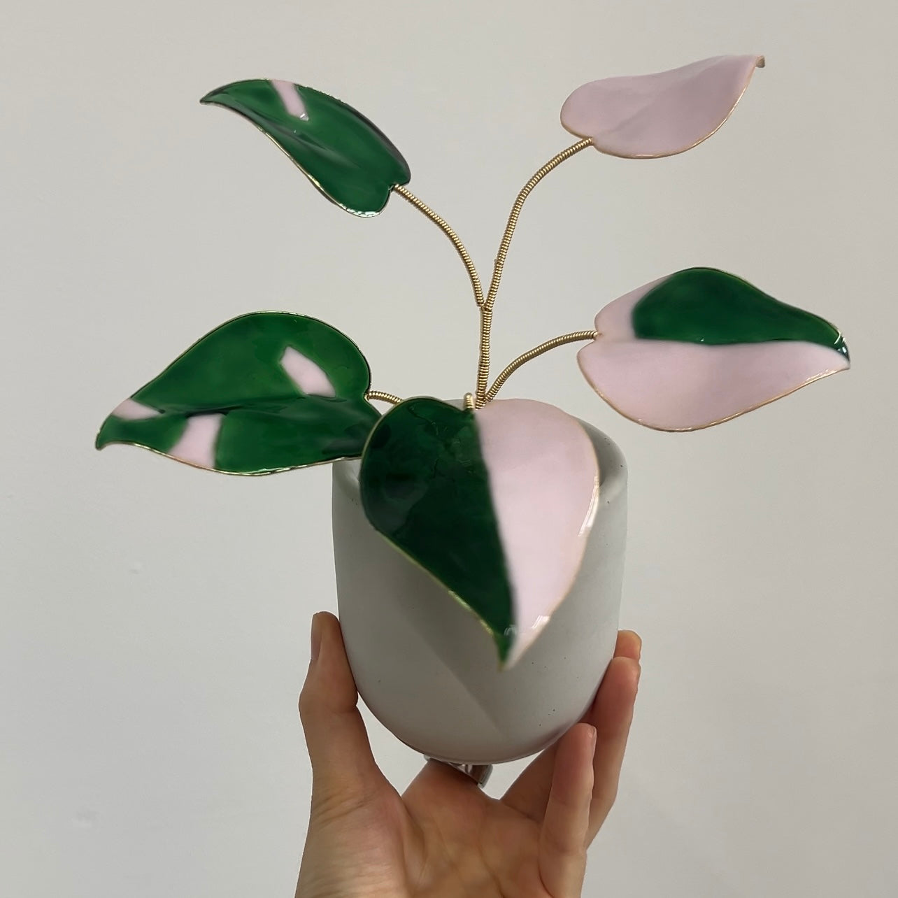 pink princess philodendron with white Pink Princess Philodendron Houseplant Set (uv reactive)