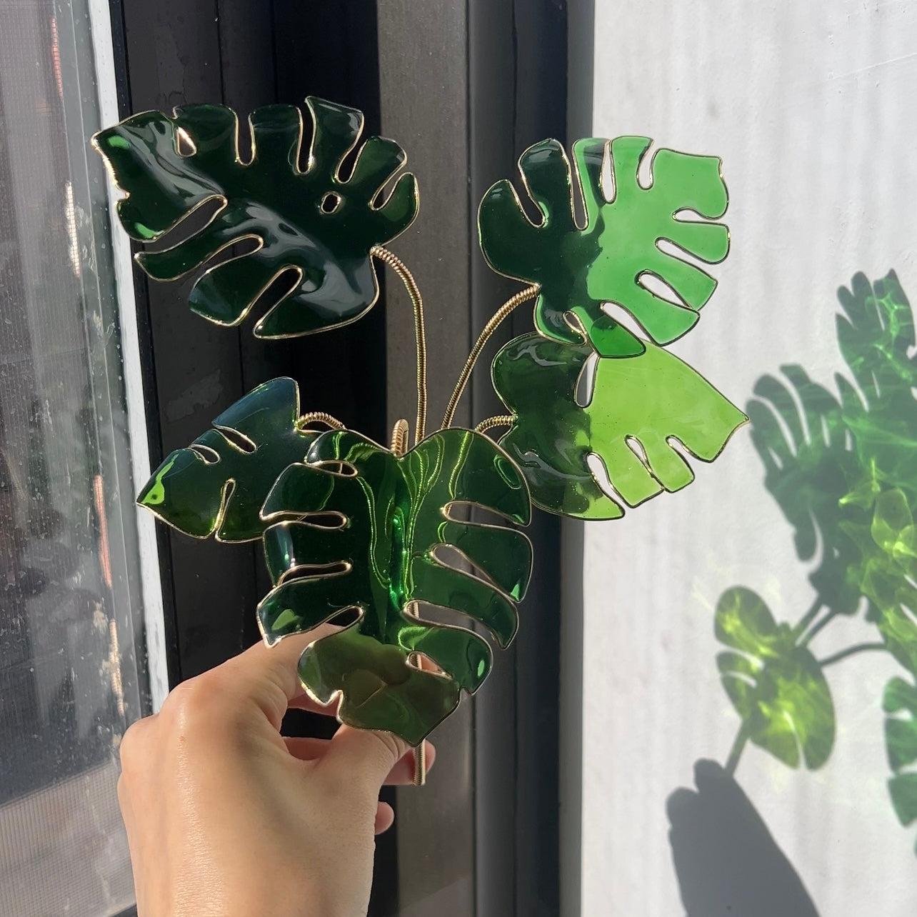 monstera talent birmingham al Monstera Houseplant Set