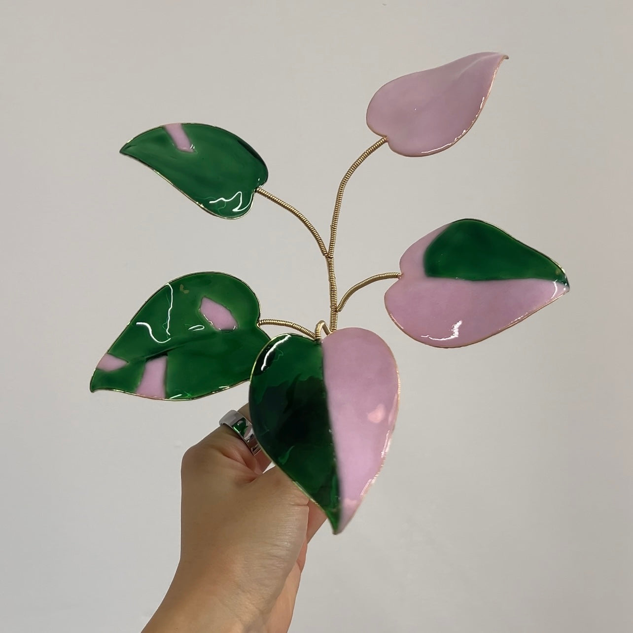 Pink Princess Philodendron Houseplant Set (uv reactive) | PREORDER