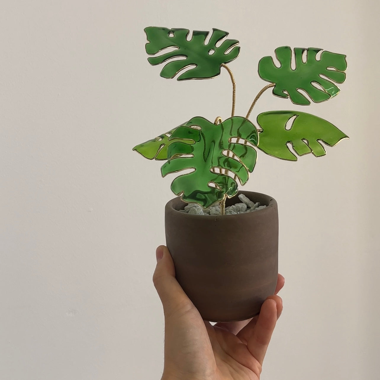 monstera talent nyc Monstera Houseplant Set