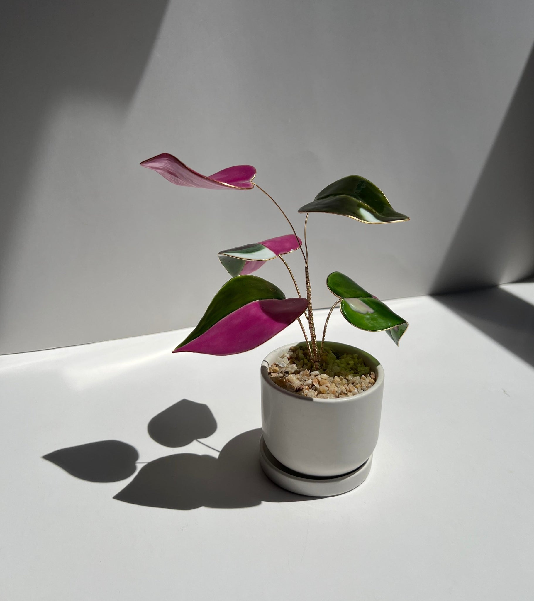 philodendron pink princess etsy Pink Princess Philodendron Houseplant Set (uv reactive)