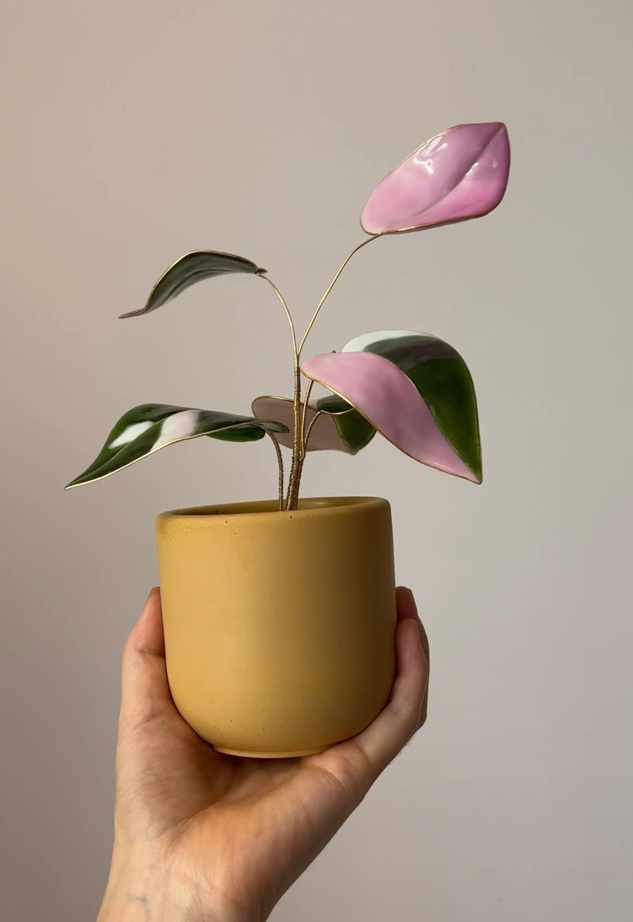 pink princess philodendron etsy Pink Princess Philodendron Houseplant Set (uv reactive)