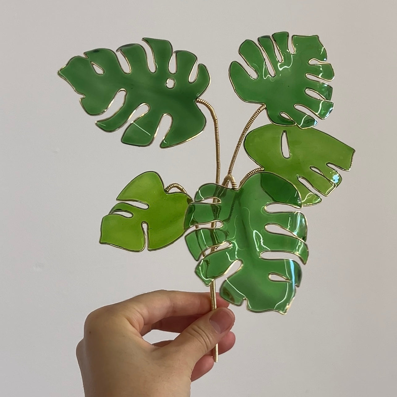 monstera talent nyc Monstera Houseplant Set