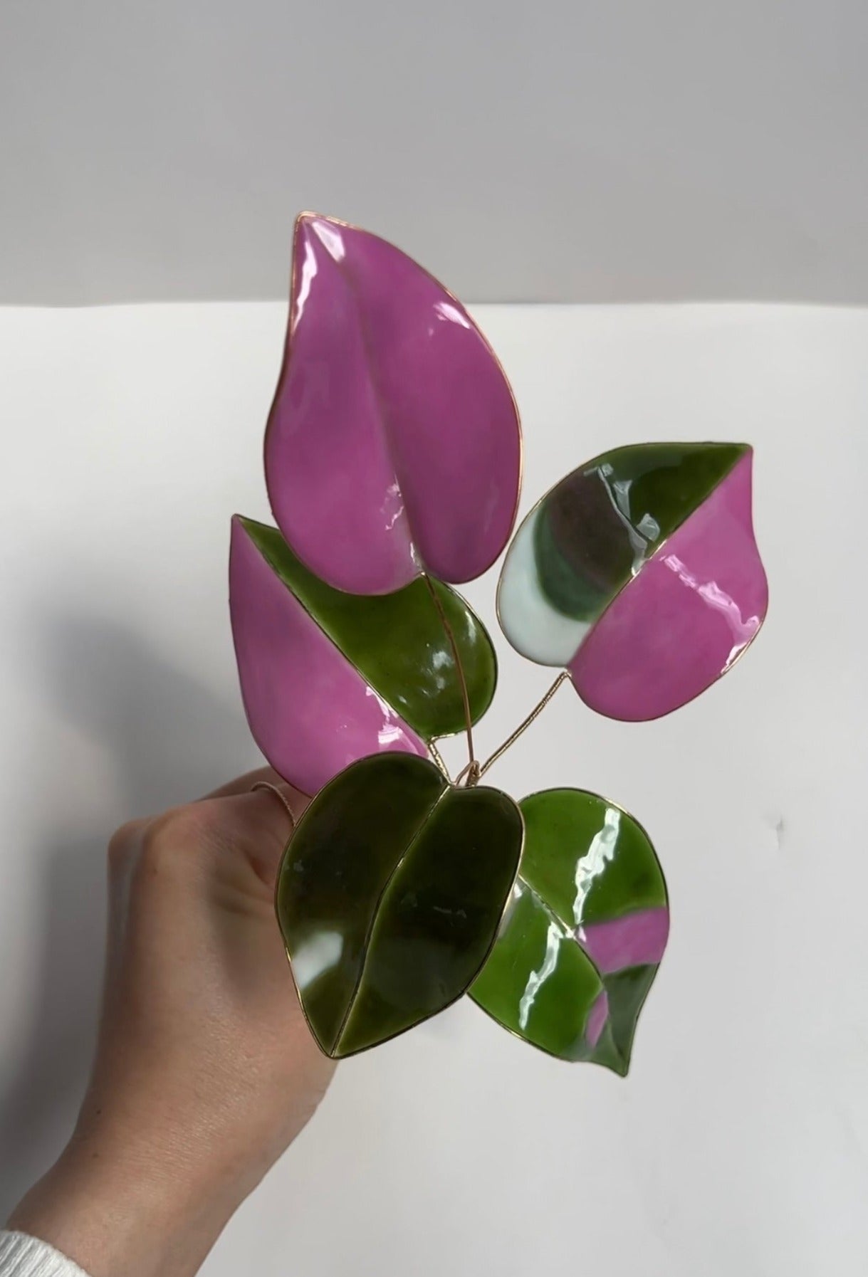 purple philodendron plant Pink Princess Philodendron Houseplant Set (uv reactive)