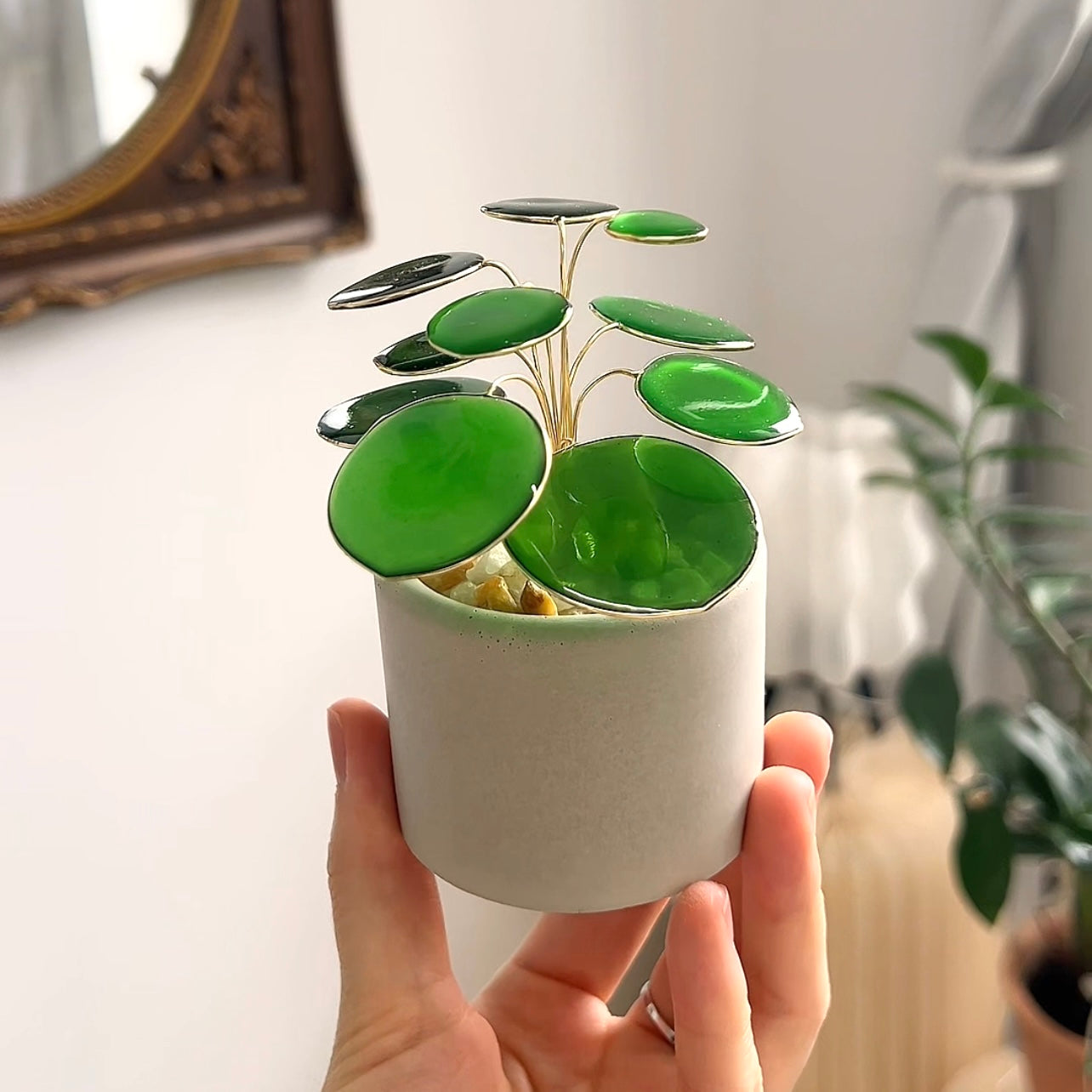 pilea plant air purifier Pilea Houseplant Set