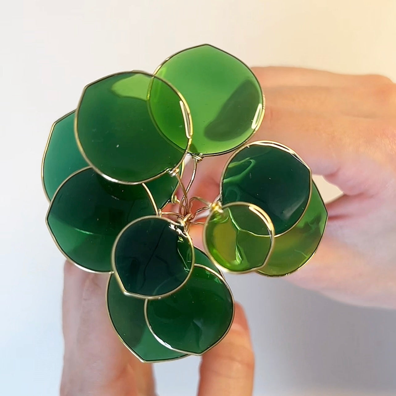 Preorder | Pilea Houseplant Set